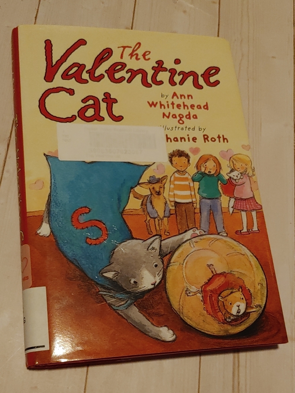 The Valentine Cat Children Kids Fiction Novel Book By Ann Whitehead Nagda